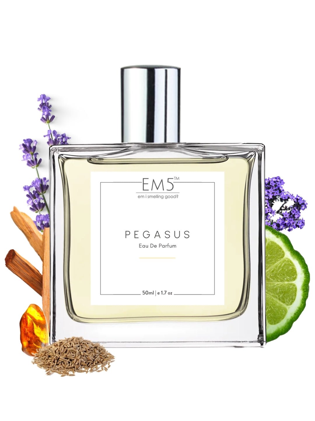 Pegasus | Eau De Parfum
