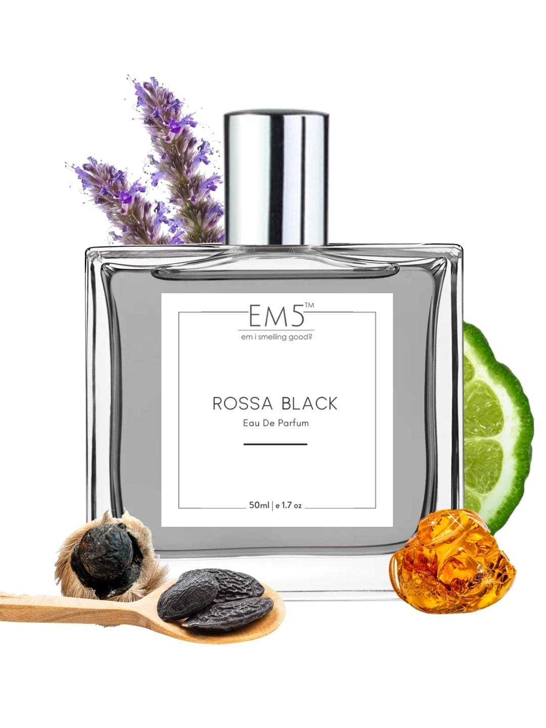 Rossa Black | Eau De Parfum